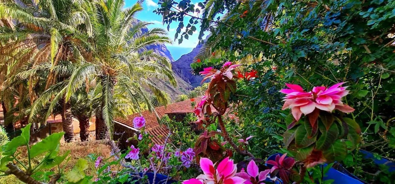 Apartment Paradise Tenerife San Miguel de Abona Spain